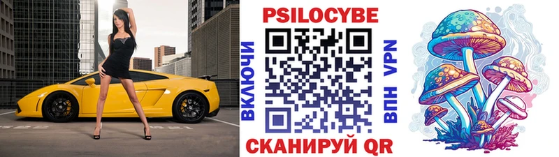 наркота  Очёр  Псилоцибиновые грибы Psilocybe 